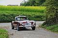 Follow The Leader 2017_(127)